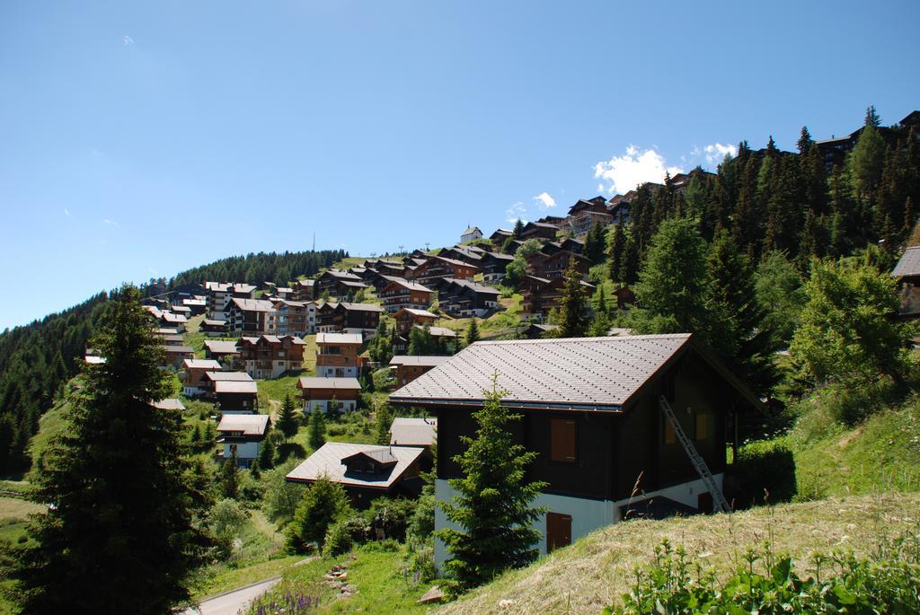 בטמראלפ Chalet Foresta מראה חיצוני תמונה